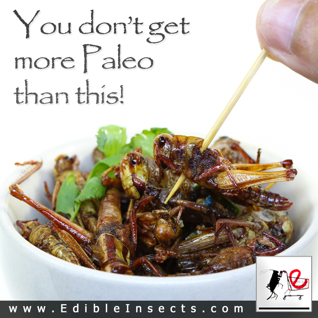 You don;t get more Paleo than this!