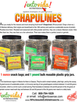 Chapulines-Sales-Sheet