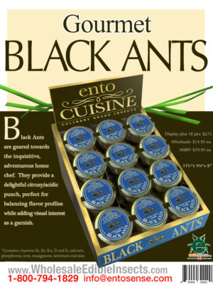 Gourmet-Black-Ants