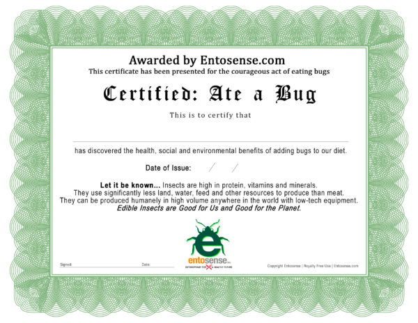 Ate a Bug Certificate