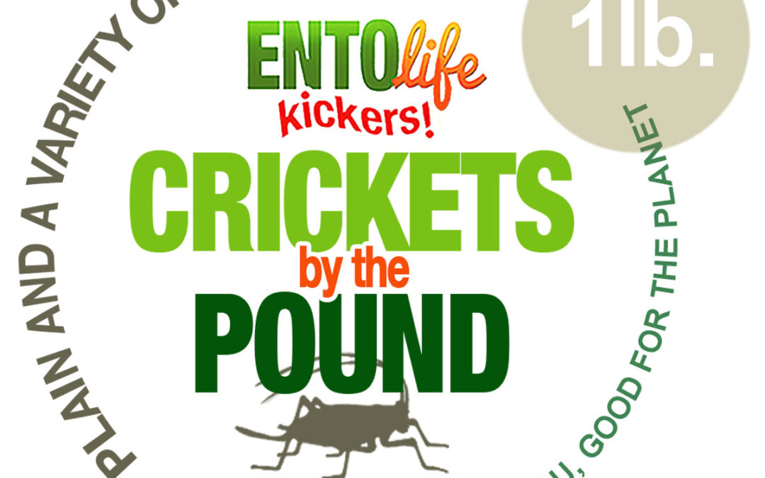 CRICKETS BY THE POUND LOGO
